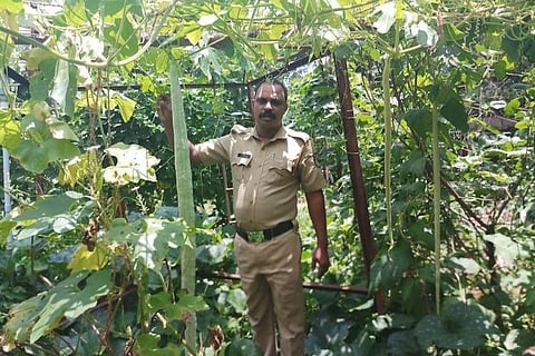From law and order to farming: Kerala cops convert station premises into organic farm