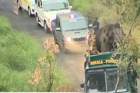 Arikomban translocated: Rogue tusker moved to Periyar Tiger Reserve, radio collar fixed