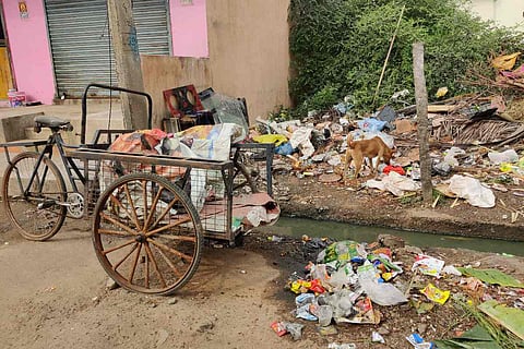 A 'garbage hotspot' in Avadi Municipal Corporation