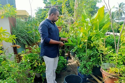 This group of gardeners in AP’s Machilipatnam grows everything from avocados to grapes