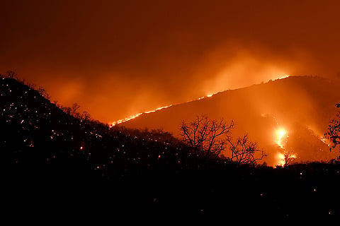 Bandipur forest fire: Activists accuse officials of negligence on four counts