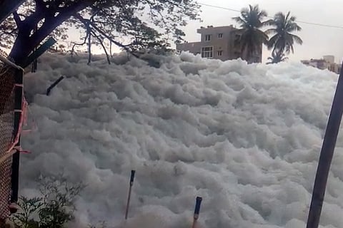 Karnataka govt, Bengaluru civic body fined for failing to clean Bellandur lake