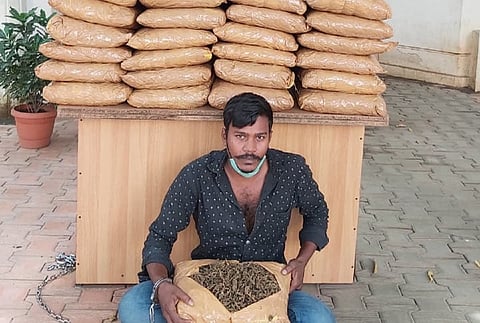 Bengaluru ganja dealer