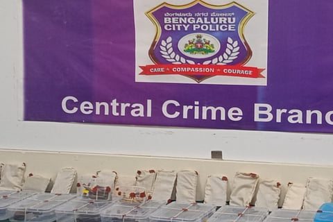 Bengaluru police  seize country pistols, live bullets