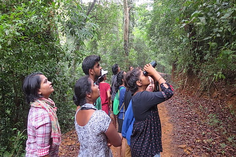 Racket-tailed drongo to Marshall’s Iora, birdwatchers document new species in TN