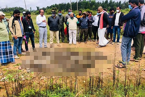 Locals gathered over the bodies of bonnet macaques