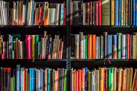 Short reads, light reads, funny reads: Book recommendations for 21-day lockdown
