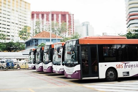 buses 