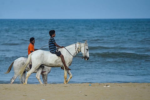 Marina beach, Chennai