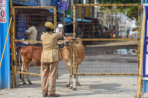 Chennai COVID-19 lockdown