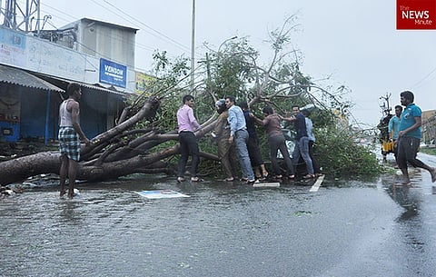 Tamil Nadu estimates cyclone damage at Rs 22,573 crore