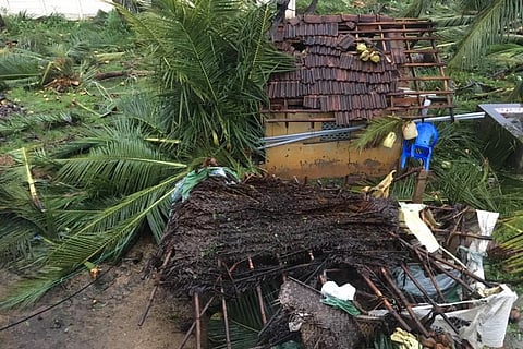 76,000 evacuated as Cyclone Gaja makes landfall in coastal Tamil Nadu
