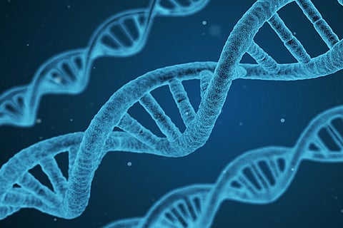 Indian firm MedGenome finds a way to detect multi-drug resistant strain of TB 