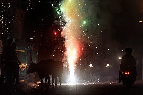 Over 2,100 cases and 650 arrests in TN for bursting crackers outside fixed time  