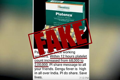 TNM Fact Check: Papaya leaf juice doesn't cure dengue