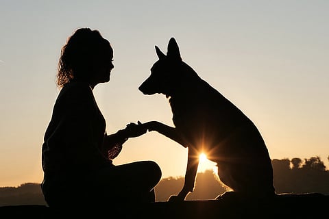 Silhoutte of a woman and a dog