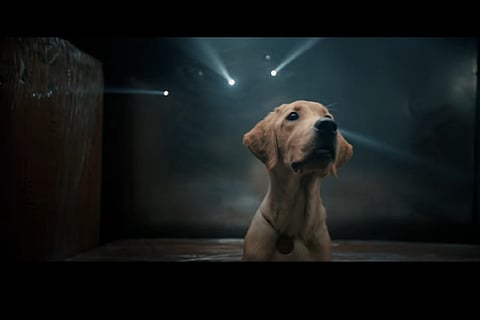 Screenshot from 777 Charlie