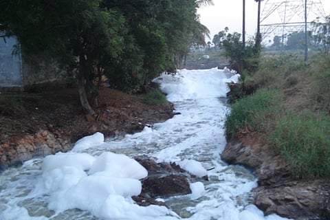 Ground report: Hyderabad's pharma boom leaves this village with toxic water, burning soil