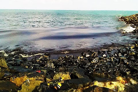 Exclusive: How Chennai's Ennore Port failed to act immediately after the oil spill