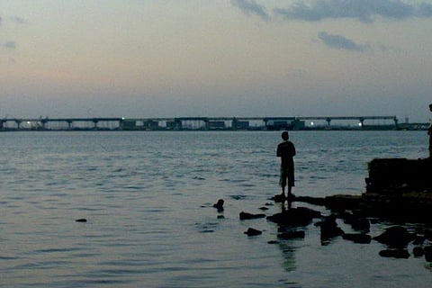 Death by a thousand cuts: The story of Ennore, a creek lost to ‘development’