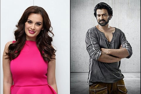 Evelyn Sharma joins Prabhas’ 'Saaho' star cast 