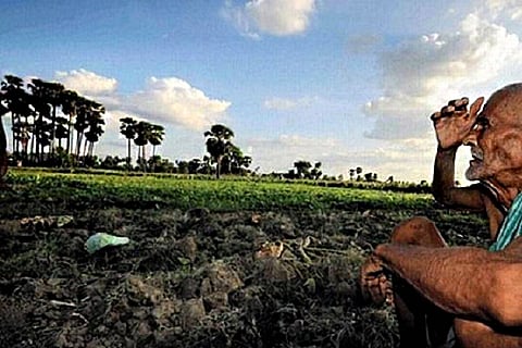 'Why are tenant farmers left out?': Experts fume at Telangana's Rythu Bandhu scheme
