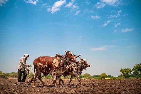Farmer tilling land on a hot day