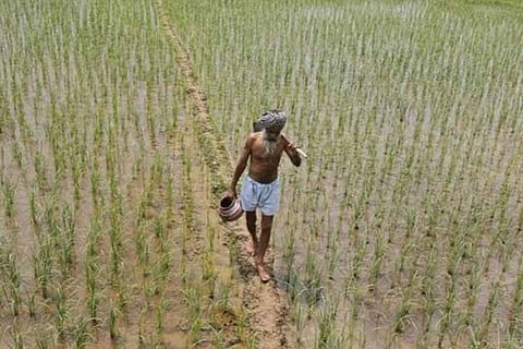 Farmer walking during rainfall