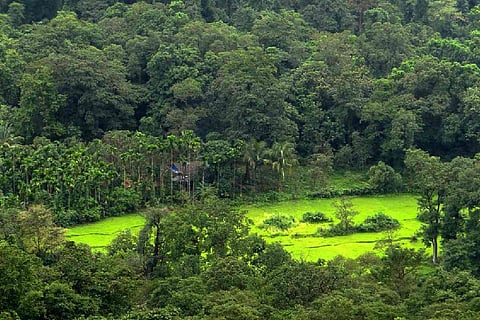 Relaxing norms for quarries in TN reserve forests disastrous, say environmentalists