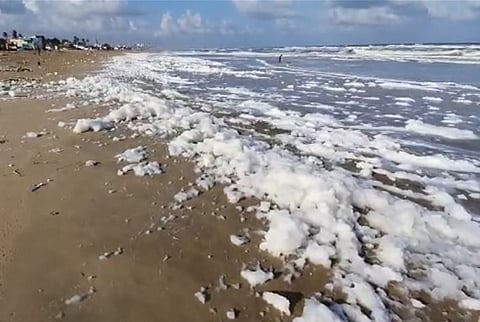 Video: Froth washes onto Chennai shore, TNPCB blames agricultural activity