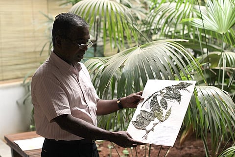 The man who listens to trees: Meet the botanist who helped Karnataka's Soligas secure their livelihood