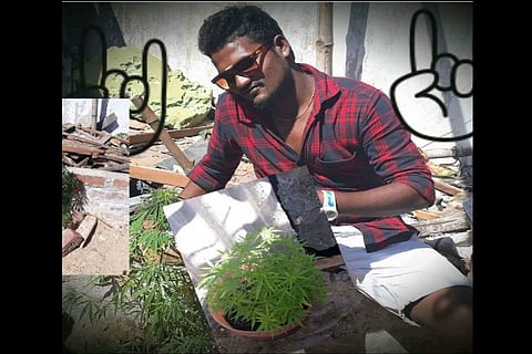 'High' on Facebook: Two TN men land in jail after photo with ganja plant goes viral