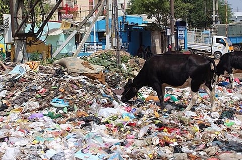 With new waste management rules, making producers pay their own tab