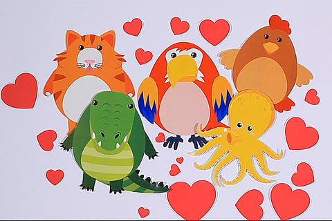 Gender and Sexuality 101: Featuring, Rainbow the parrot!