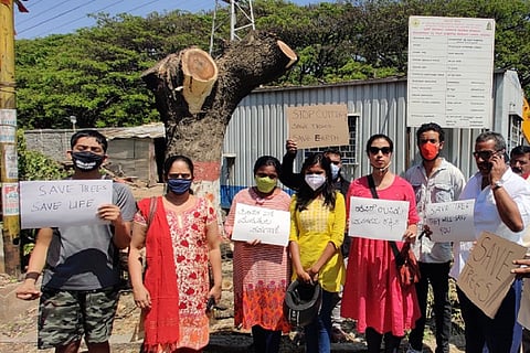 10 trees at Bengaluru’s HAL junction axed, residents say public not consulted 