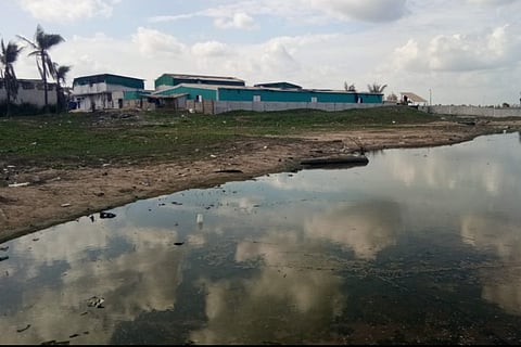 Shrimp hatcheries violating norms in Chengalpattu and Villupuram