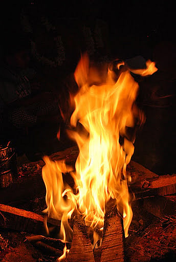 Mruthyunjaya Homam to be performed to ward off 'curse' on Tollywood