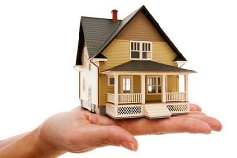 House on a palm