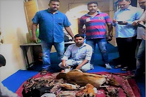 Hyderabad police uncover racket selling black buck meat in Old City