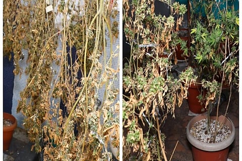 Narcotics found at the Bidadi villa