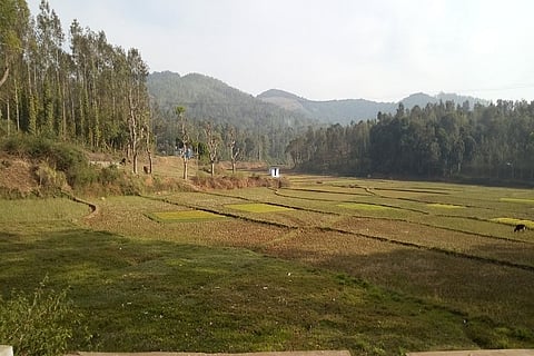 Ecological storehouse at risk: Why TN should reconsider Kolli Hills hydroelectric project