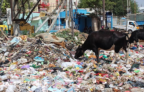 Bengaluru's garbage is piling up, let's talk about overworked and underpaid garbage collectors