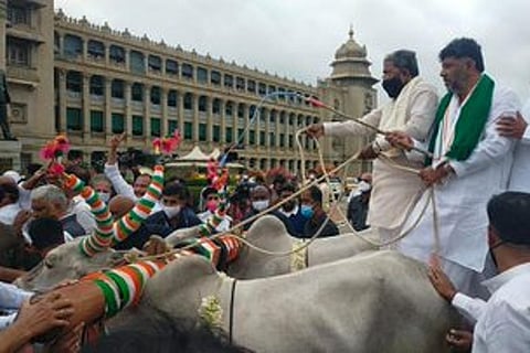 Karnataka Congress leaders in bull cart rally to protest high fuel price