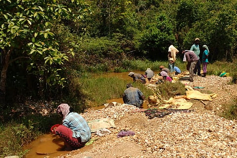 A group of miners washing extracted gold in a stream inside Devala forest in the Nilgiris, Tamil Nadu