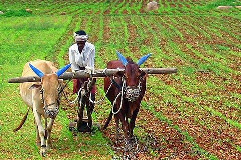 Farmer ploughing 