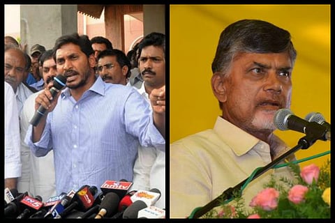 Explainer: What is the Agri Gold scam, and why has it taken Andhra by storm?