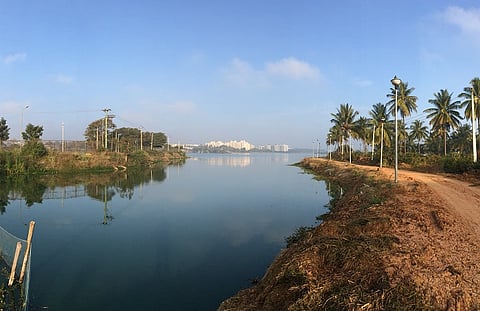 Bengaluru’s shrinking lakebeds: Govt committee says 11,000 acres are vanishing