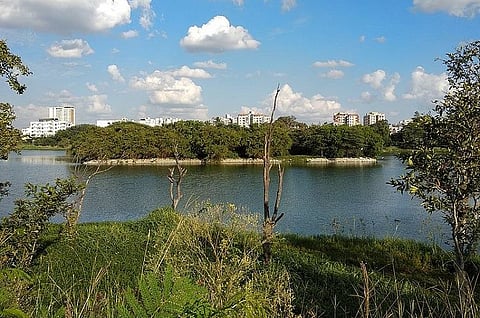 NGT cancels eco-clearance for Godrej high rise project near Bengaluru lake