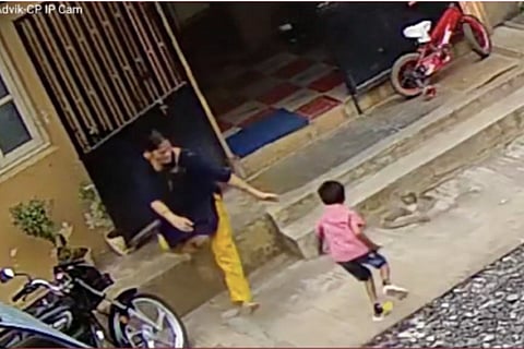 A video shows a Karnataka woman rescuing her child from a cobra in the nick of time 