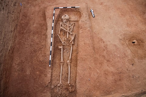Keezhadi adult sized human skeleton